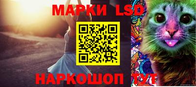 молекула духа Краснодар