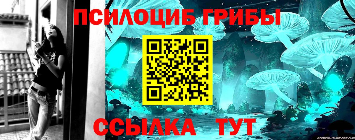 Галлюциногенные грибы GOLDEN TEACHER  Вход с VPN  Чита 